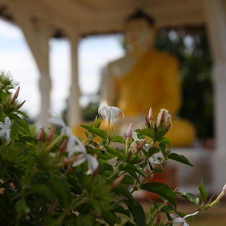 The Yala City Guest House Tissamaharama Εξωτερικό φωτογραφία