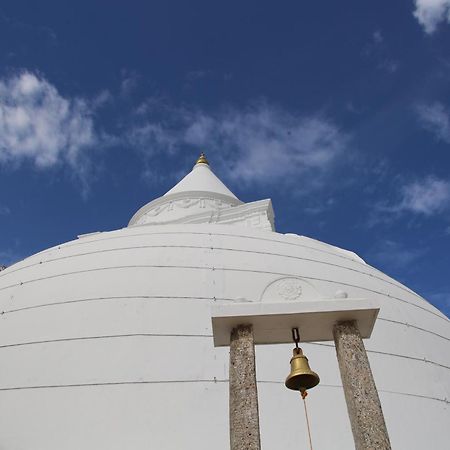 The Yala City Guest House Tissamaharama Εξωτερικό φωτογραφία