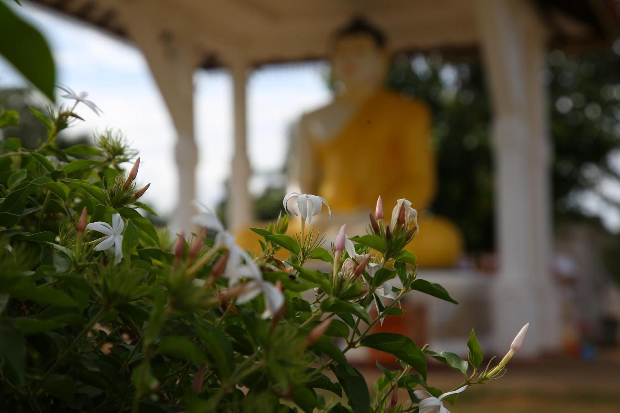The Yala City Guest House Tissamaharama Εξωτερικό φωτογραφία