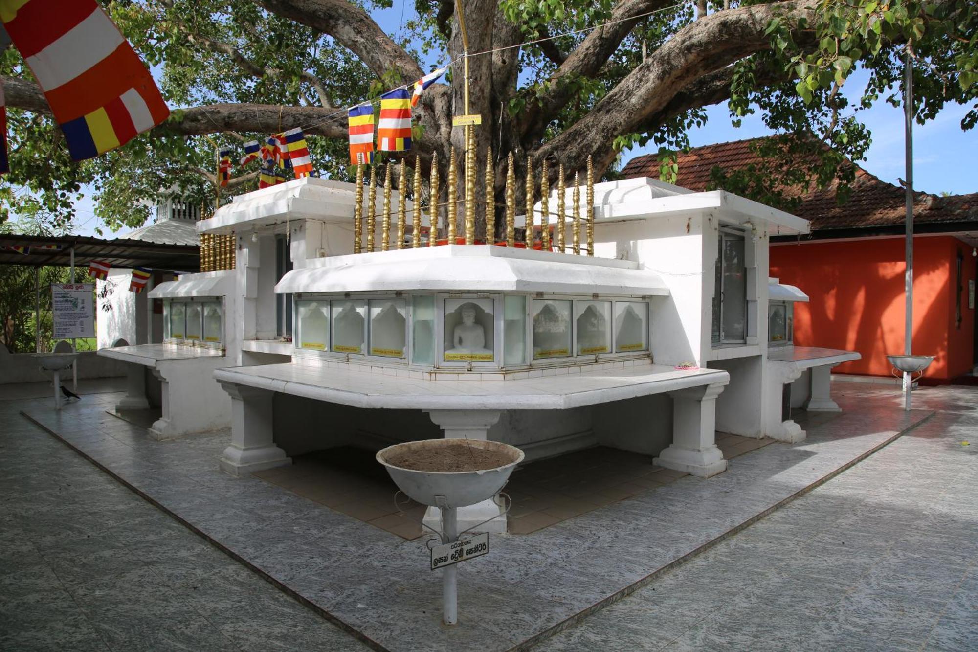 The Yala City Guest House Tissamaharama Εξωτερικό φωτογραφία