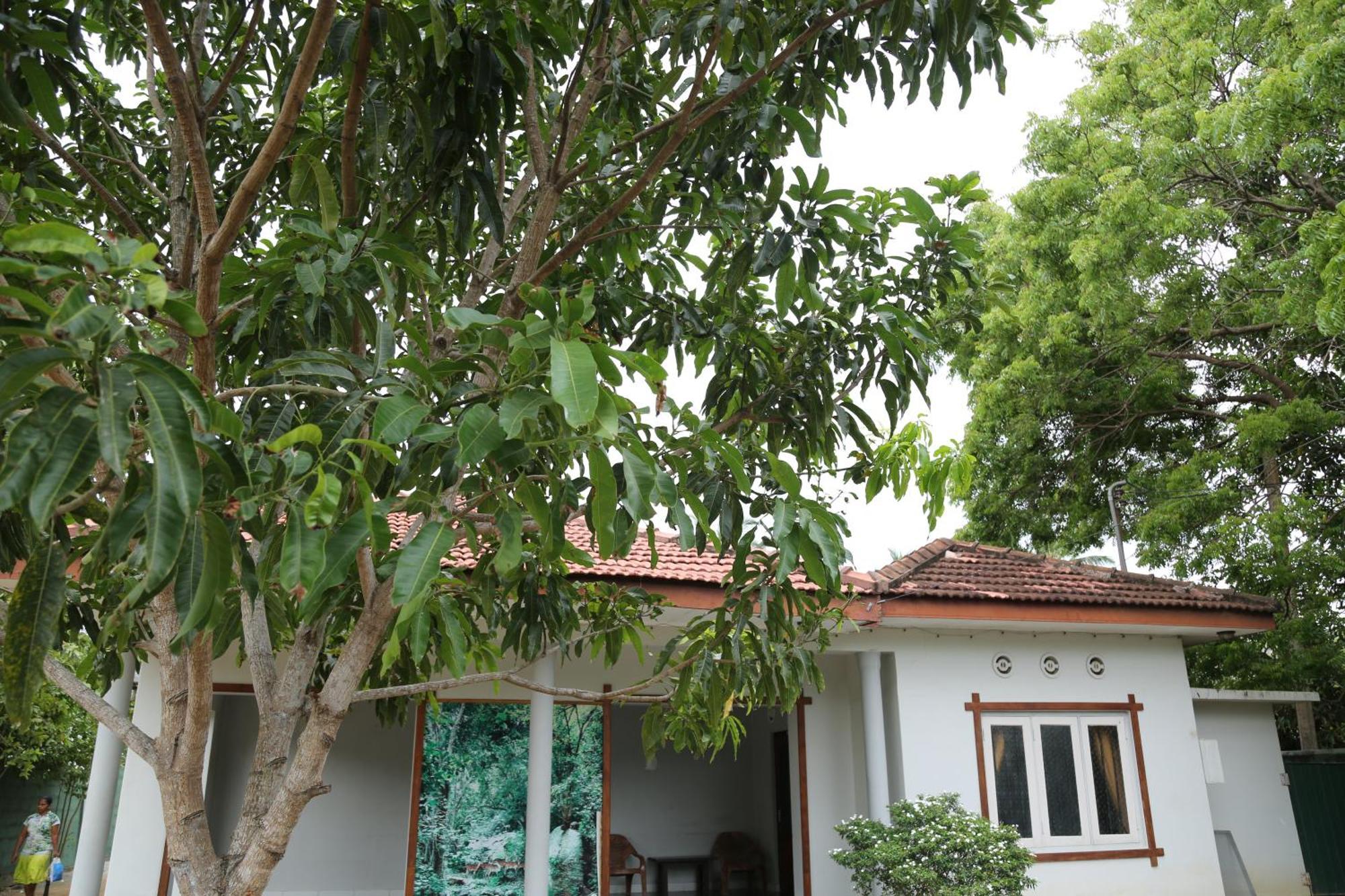 The Yala City Guest House Tissamaharama Εξωτερικό φωτογραφία