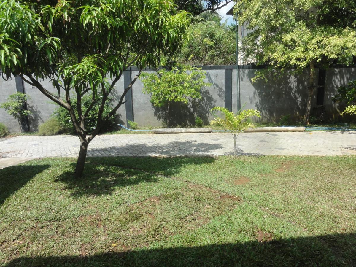 The Yala City Guest House Tissamaharama Εξωτερικό φωτογραφία